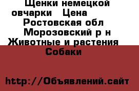 Щенки немецкой овчарки › Цена ­ 5 000 - Ростовская обл., Морозовский р-н Животные и растения » Собаки   